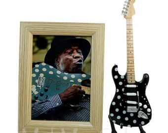 バディ・ガイ・ギター 有名なポルカドット柄フェンダー・ストラト