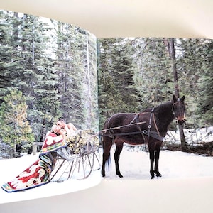 May include: A photograph in an open book showing a dark brown horse harnessed to a metal sleigh in a snowy forest. A person is reclining in the sleigh, covered by a patterned quilt with red, white, and blue colors, surrounded by pine trees.