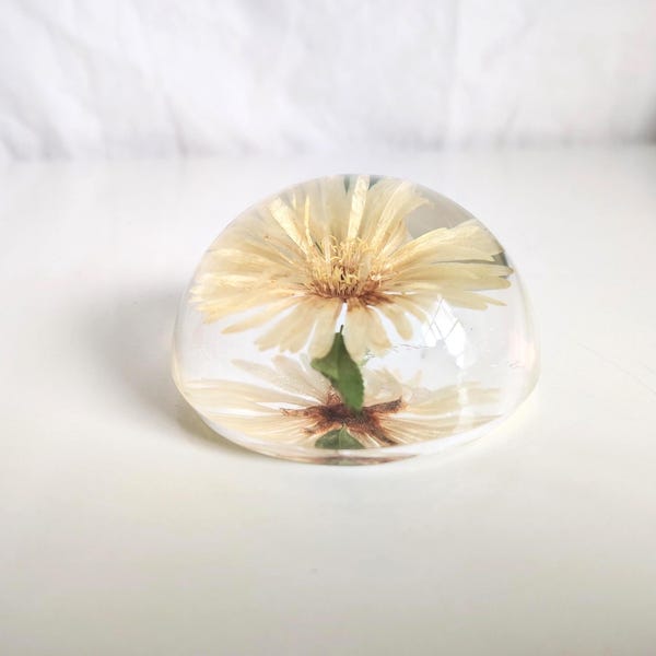Vintage Dried Flower Lucite Dome Paperweight | Botanical Preserved Floral Display | Cottagecore Desk Decor