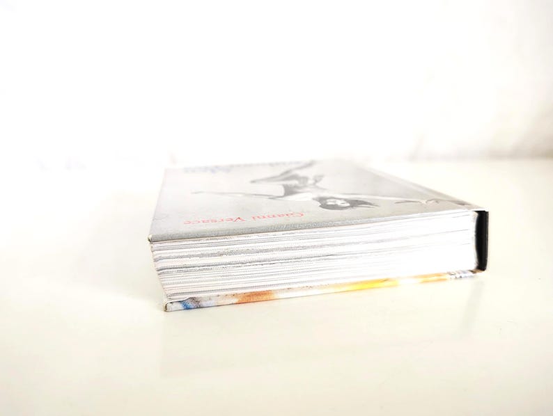 May include: A hardcover book with a silver-toned cover featuring a black and white illustration of a figure and the red text Gianni Versace. The book is positioned at an angle, showing the white pages of the text block and a black spine.