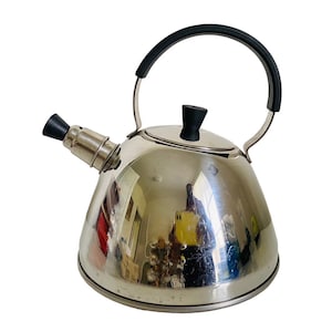 UtiliTea Stainless Steel Electric Tea Kettle