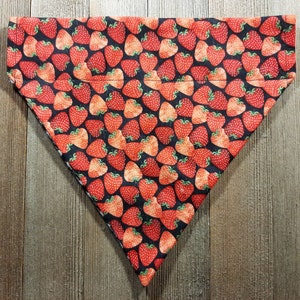 Reversible Strawberries on Black / Black Gingham Checker Oatern Oet Bandana