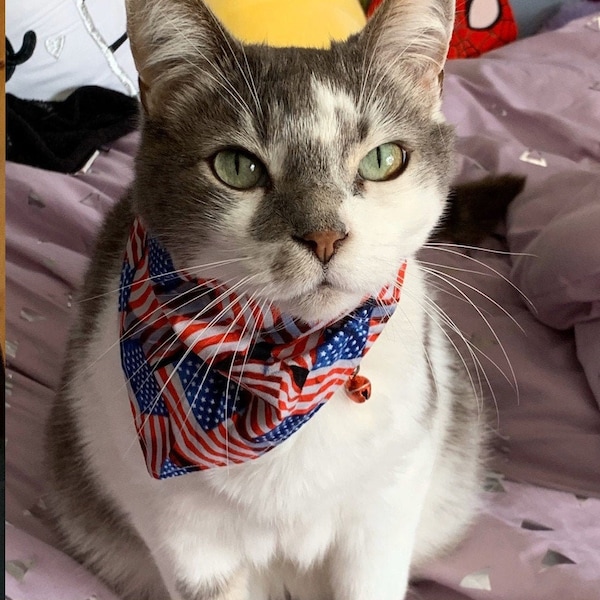 American Flag Cat Bandana - Bandana for Cats - Cat Bandana - Red White Blue Cat Bandana - 4th of July -Stars Stripes - Patriotic Cat Bandana
