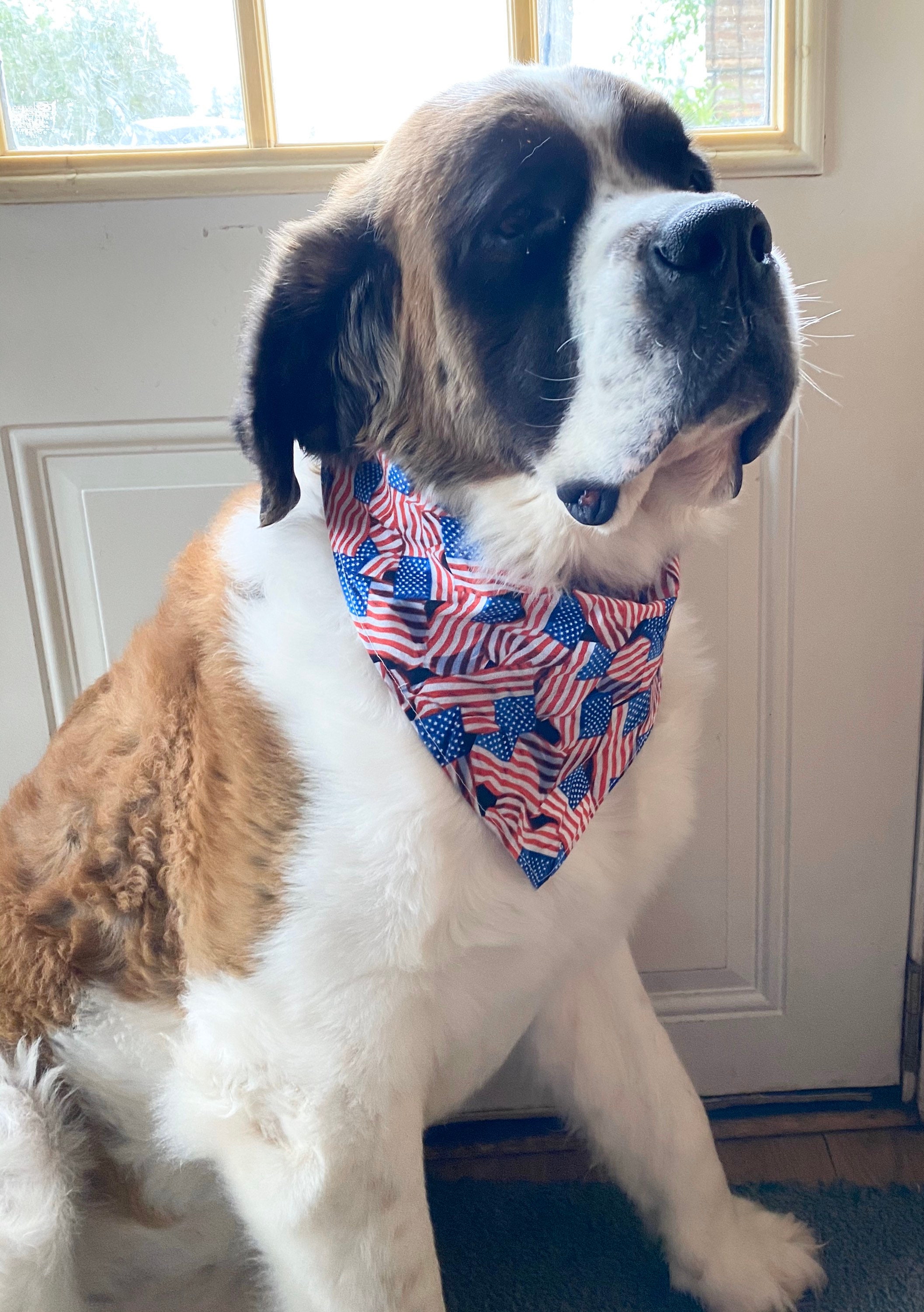 American Flag Dog Bandana Bandana for Dogs Dog Bandana | Etsy
