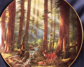 Sunlit Retreat Danbury Mint Plates - Decorative Wall Plates - Deer Decoration - Animal Wall Decoration - Nature Wall Art Decoration