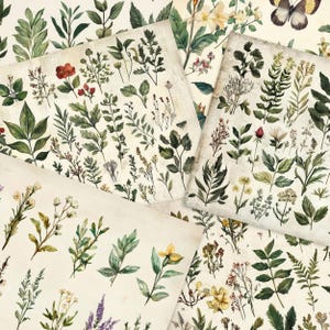 May include: A collection of vintage botanical illustrations featuring various types of leaves, flowers, and plants. The illustrations are in shades of green, brown, and white, and are arranged in a collage style on a cream-colored background.