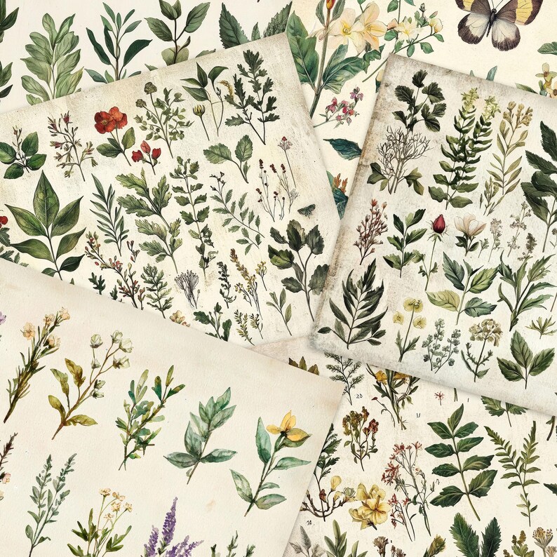 May include: A collection of vintage botanical illustrations featuring various types of leaves, flowers, and plants. The illustrations are in shades of green, brown, and white, and are arranged in a collage style on a cream-colored background.