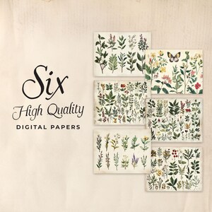May include: Six high-quality digital papers featuring botanical illustrations of various flowers and plants. The papers have a vintage aesthetic with a light beige background.
