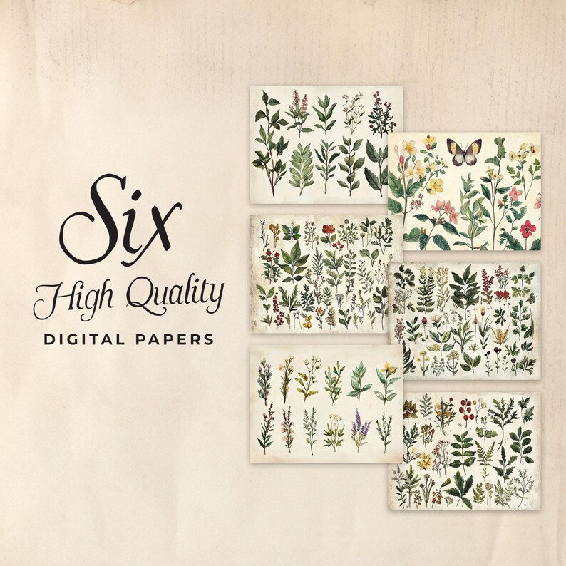 May include: Six high-quality digital papers featuring botanical illustrations of various flowers and plants. The papers have a vintage aesthetic with a light beige background.