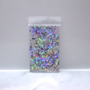 Laser Holographic Silver Dinosaur FEET Glitter Holo Solvent Resistant Slime Charm Nail Art Resin Jewelry Shoes Bags Tumbler image 1