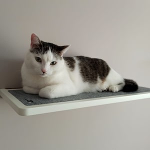 Plywood cat shelf in white, cat bed from PurrFur