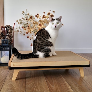 Beautiful cardboard scratching post in modern design "Scratch Long Birch Black" for big cats from PurrFur