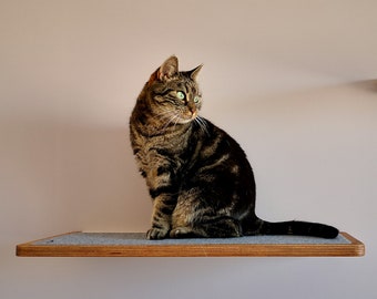 Plywood cat shelf in walnut color, cat bed from PurrFur