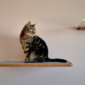 Plywood cat shelf in walnut color, cat bed from PurrFur
