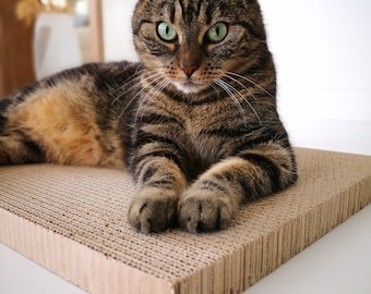 Cardboard insert for PurrFur Scratch Long for replace with two-sided smooth scratching surface