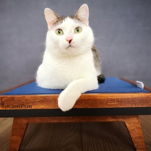 Sperrholz-Katzenbett &quot;&quot;Cat Pad&quot;&quot; mit austauschbarem Kissen in Walnussfarbe von PurrFur.&quot;