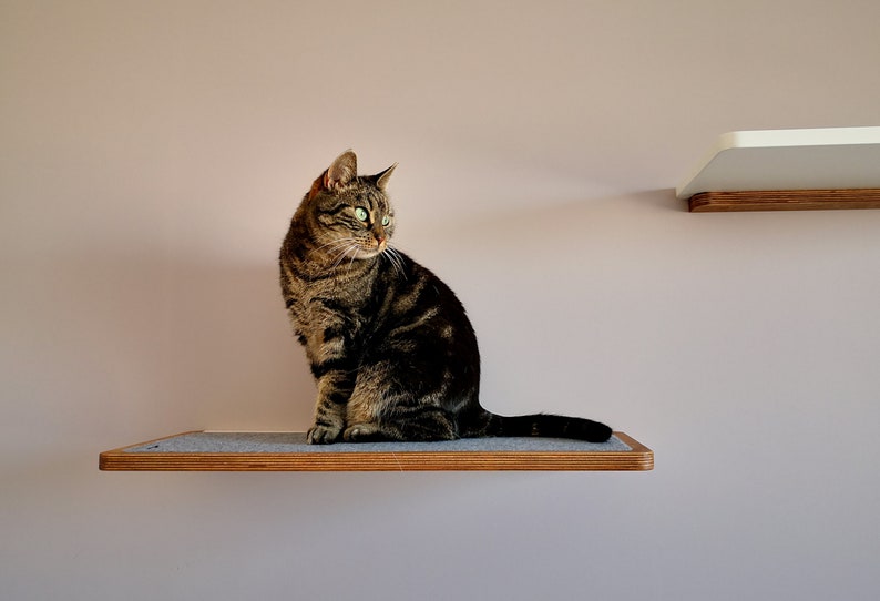 Plywood cat shelf in walnut color, cat bed from PurrFur image 1