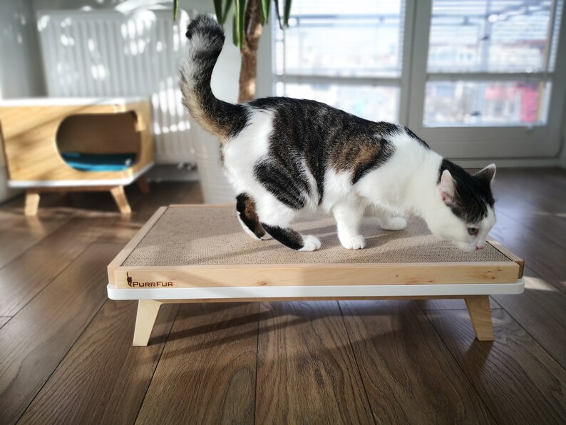 Beautiful Cardboard Scratching Post in Modern Design Etsy