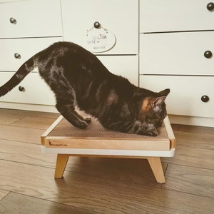 Wunderschöner und stylischer Kratzbaum in naturfarbener Birkenfarbe "Scratch Pad" von PurrFur mit auswechselbarer Pappeinlage