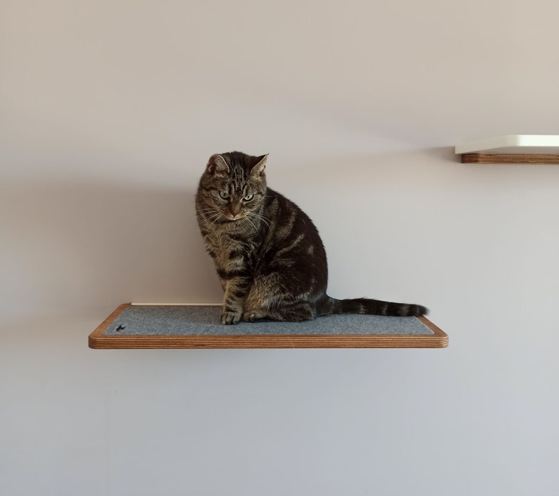 Plywood cat shelf in walnut color, cat bed from PurrFur image 8