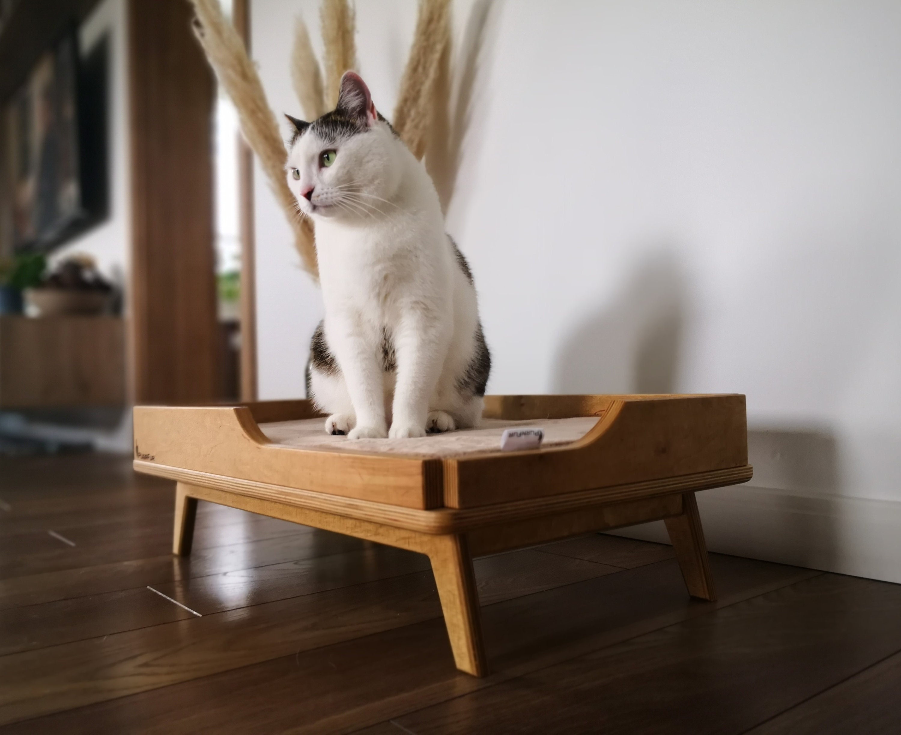 Plywood dog bed online