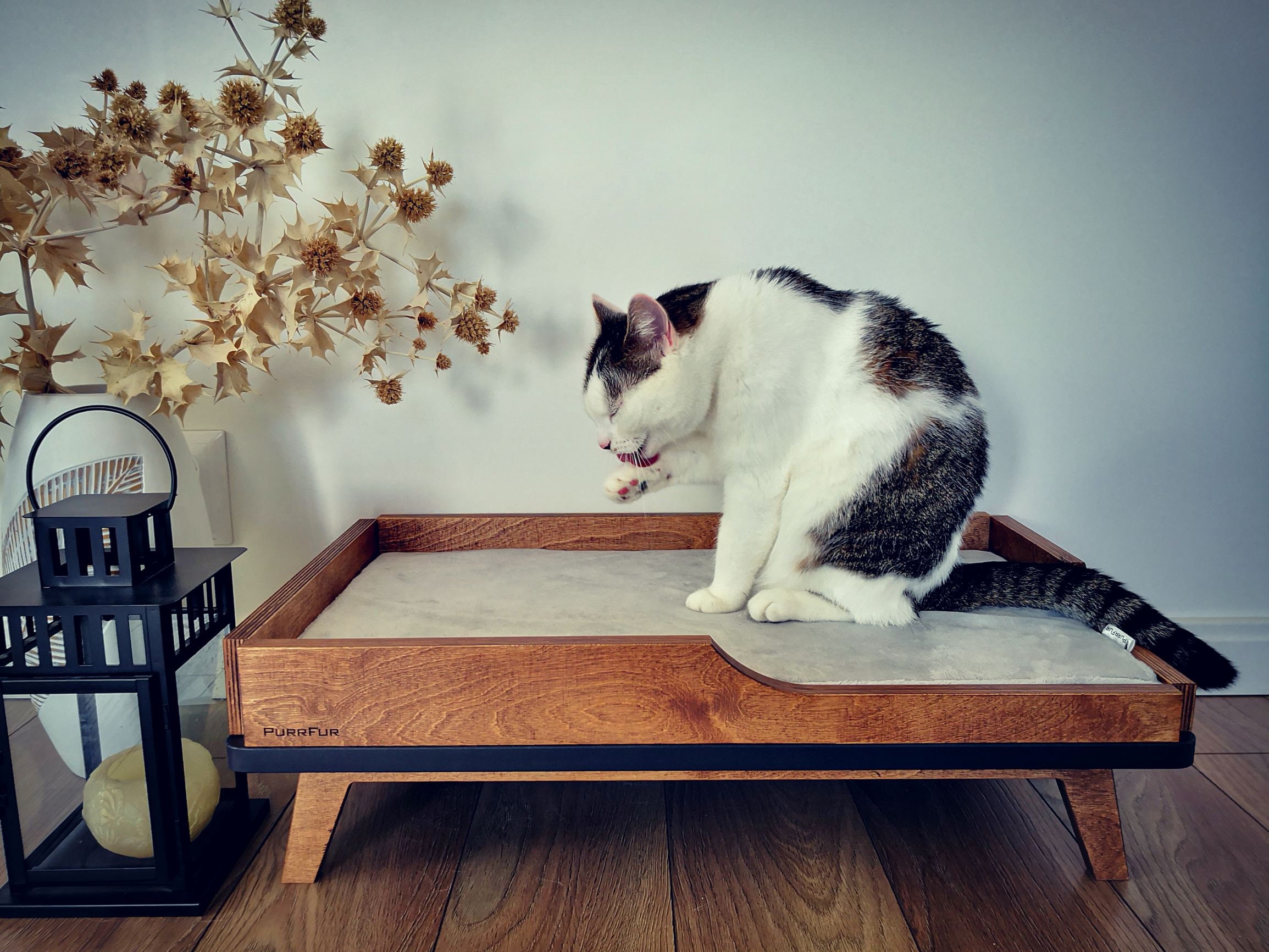 Mid century cat bed sales