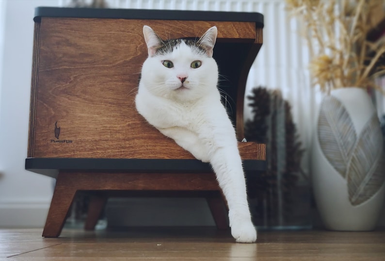 May include: A white cat with black markings peeks out of a wooden cat bed with a black trim. The bed has a logo that says "Purrfectly".