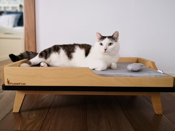 Plywood dog cheap bed
