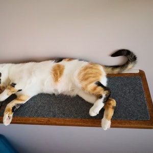 Plywood cat shelf in walnut color, cat bed from PurrFur image 3