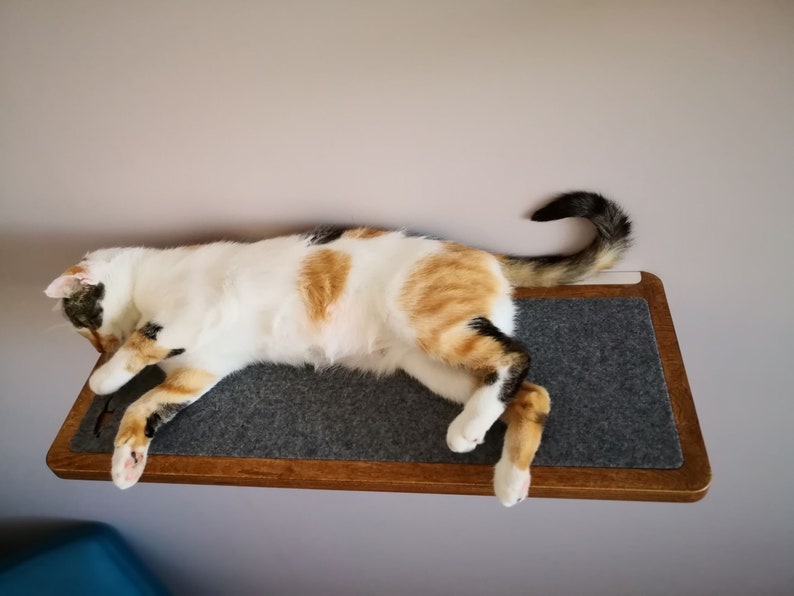 Plywood cat shelf in walnut color, cat bed from PurrFur image 3