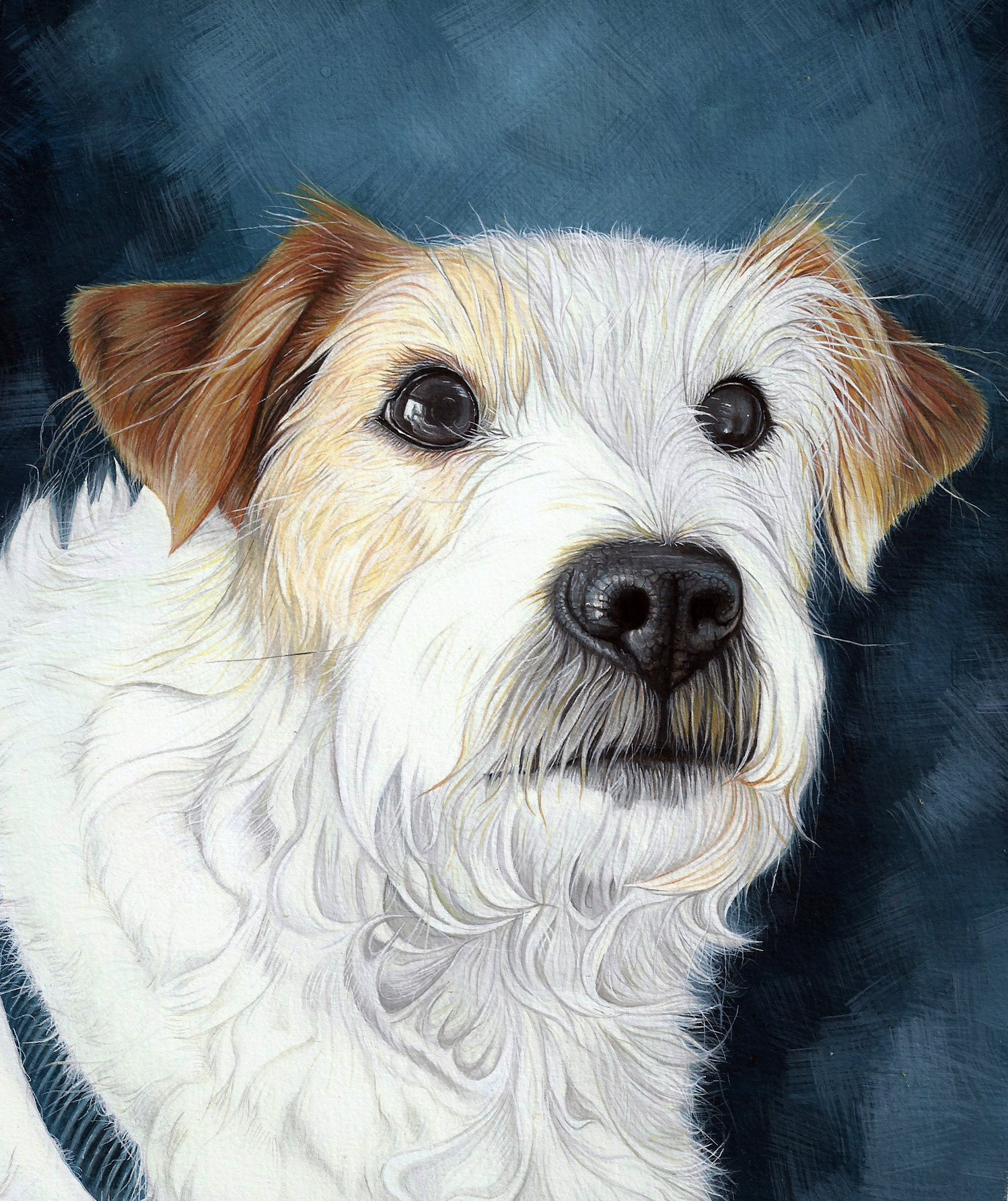 pet-portraits-etsy