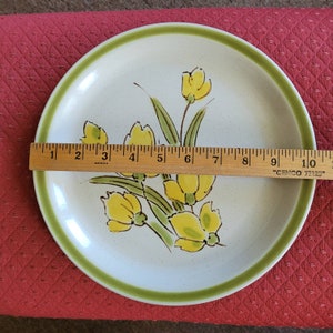 Stonybrook Stoneware Dinner Plate Spring Collection Japan