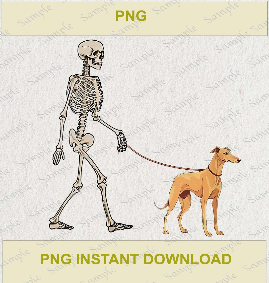 Halloween Skeleton Cute Shirt PNG Halloween Shirt Design Etsy