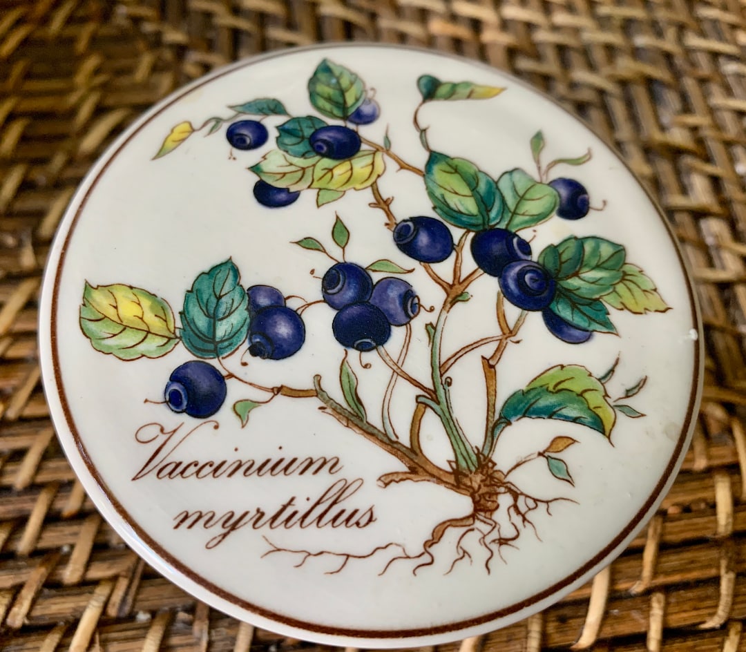 Villeroy and Boch Botanica Series Vaccinium Myrtillus AKA European