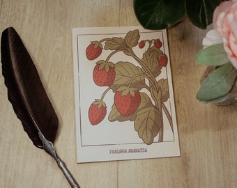 Strawberry plant Notebook | A5 handmade notebook | lined notebook | cottagecore | goblincore | fantasy