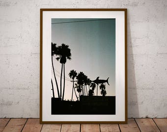 Palm Tree Silhouette Print