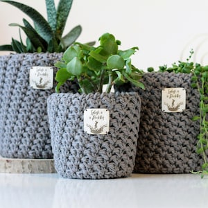 May include: Three grey crocheted plant pots with different plants. The pots have a label that says "Splash & Sprinkle".