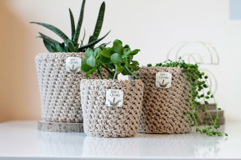Neutral Plant Pots / Cream Succulent Holder / Crochet Etsy
