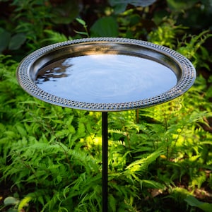 May include: A black metal bird bath with a round, textured rim and a black metal stand. The bird bath is filled with water and is surrounded by green foliage.