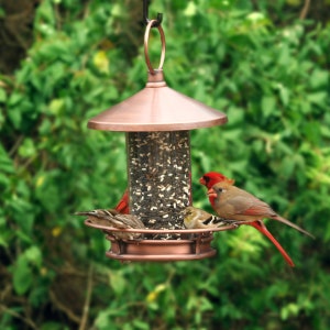 Dine & Dash Copper Bird Feeder by Good Directions