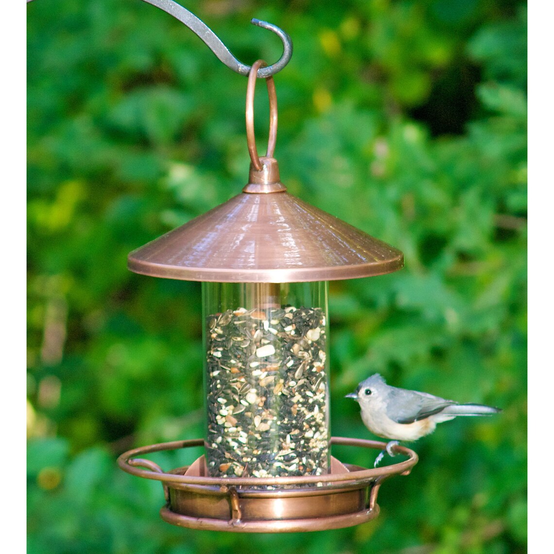 Classic Perch Bird Feeder Copper Finish Etsy