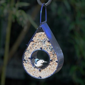 Rain Drop Fly-Thru Blue Bird Feeder