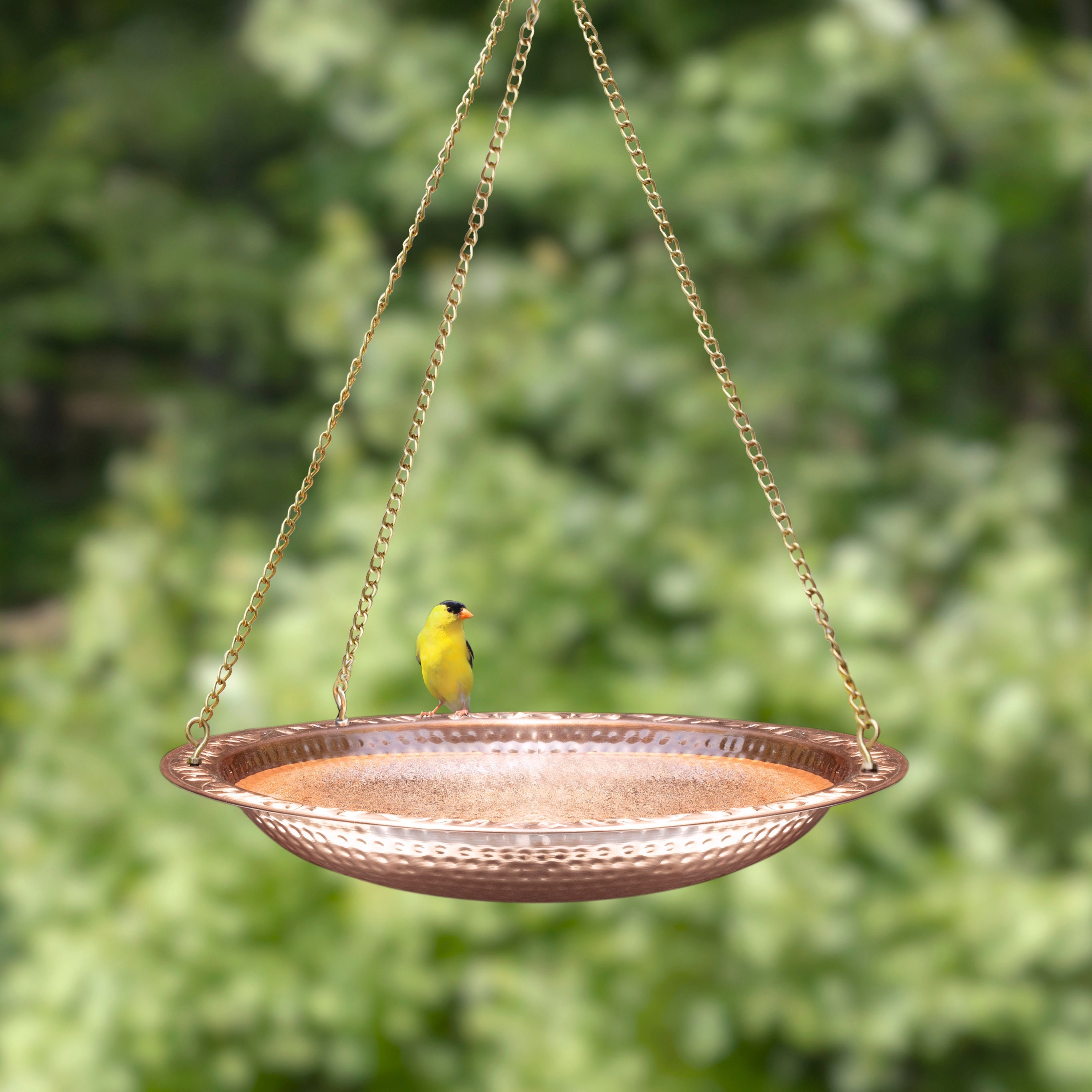 Pure Copper 18" Hanging Bird Bath