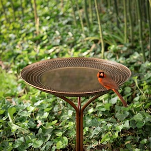 May include: A copper bird bath with a textured rim and a cardinal perched on the edge. The bird bath is on a tall, three-legged stand.