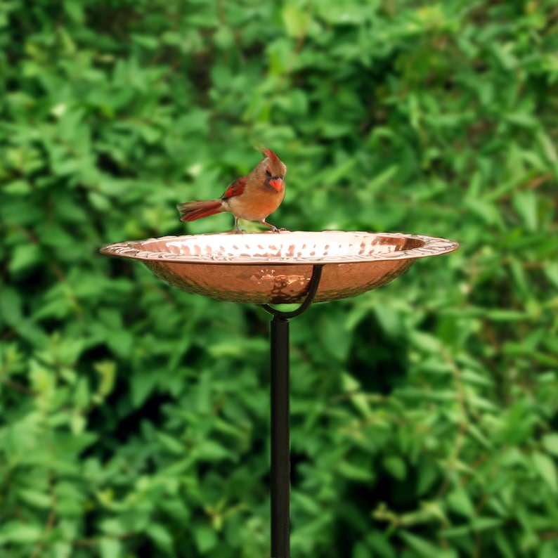 Good Directions 13 Pure Copper Bird Bath on Garden Pole Etsy
