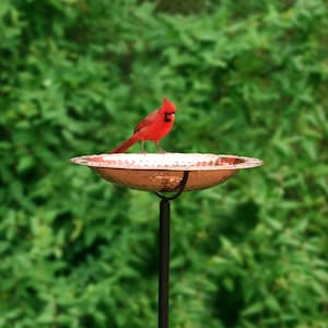 Good Directions 13" Pure Copper Bird Bath on Garden Pole