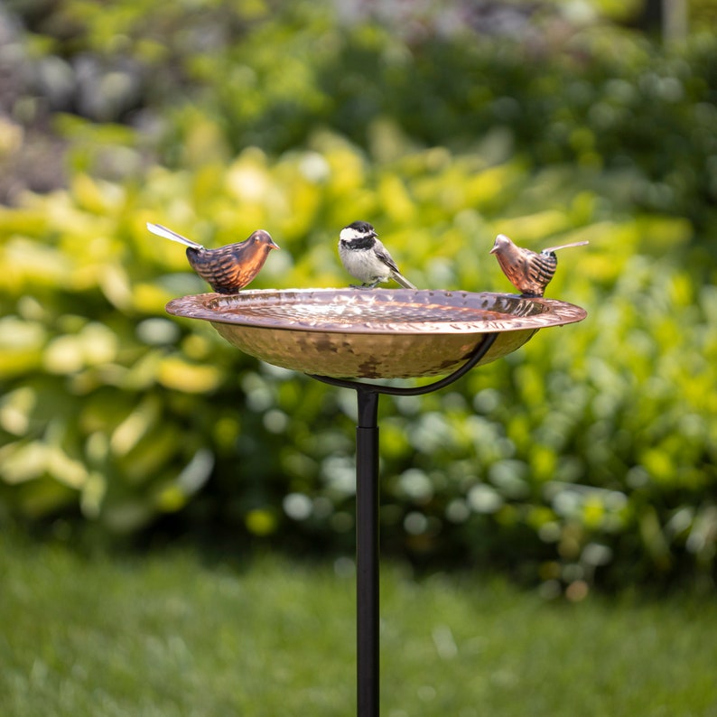 Pure Copper Bird Bath Featuring Two Copper Birds and a Etsy