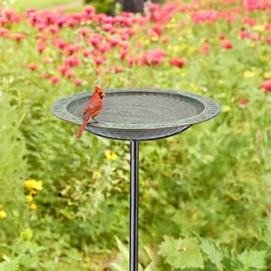 May include: A green metal bird bath with a cardinal perched on the edge. The bird bath is on a black metal stand and is surrounded by a lush green garden with pink flowers.