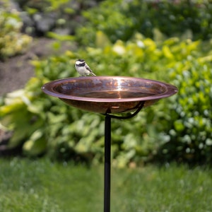 May include: A copper-colored bird bath with a black metal stand. A small bird with black, white, and gray feathers perches on the edge of the bowl. The bird bath is filled with water and set against a backdrop of green foliage.
