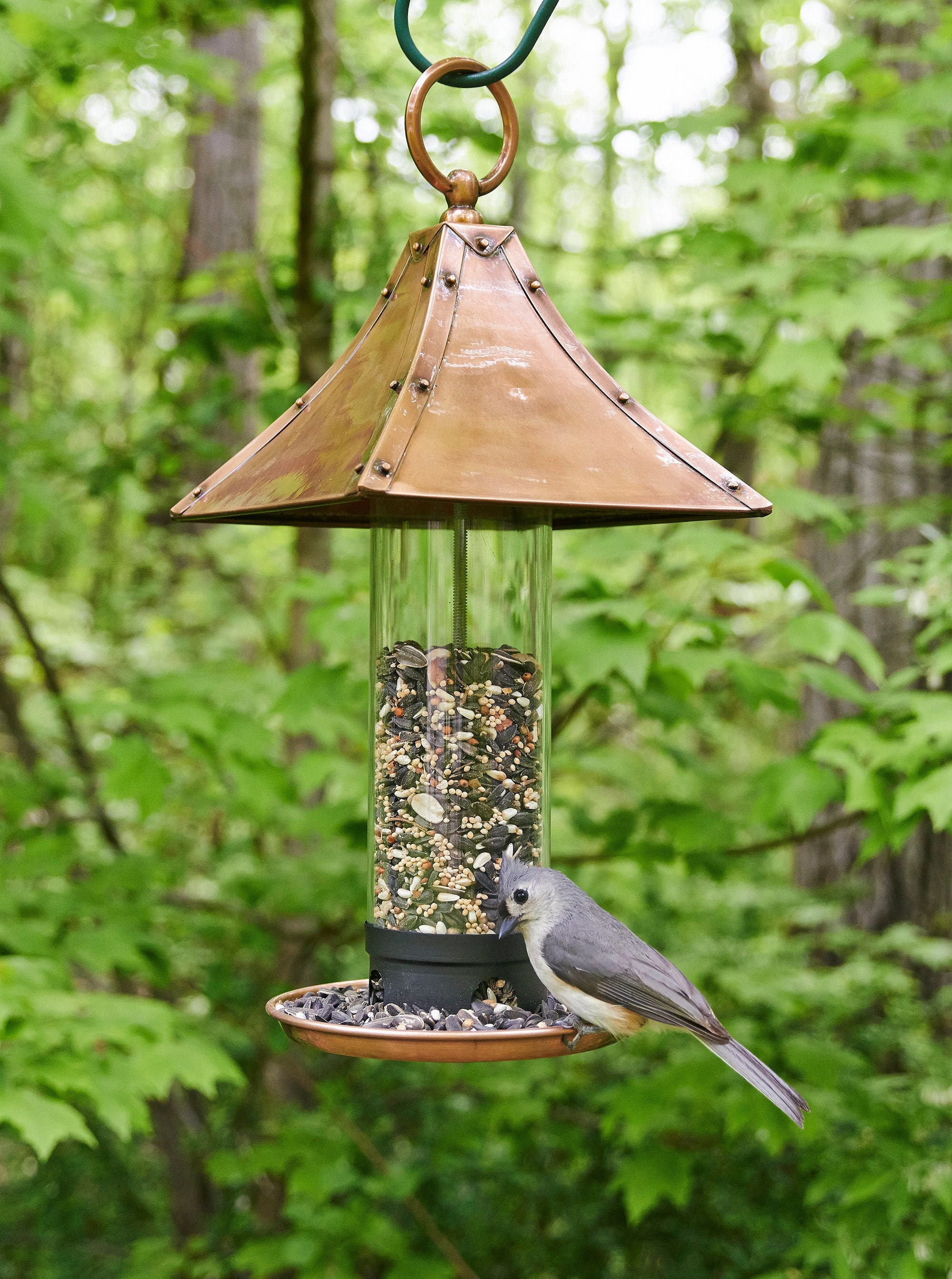 thumbnail image 2 of 35-Inch Shepherd's Hook – Metal Plant Hanger For Garden, Bird Feeder Pole, Black 2 of 4